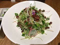 野山核桃荞麦菜-荟廷·晶萃(陆家嘴尚悦湾店)