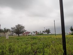 -玫瑰海岸文化旅游度假区