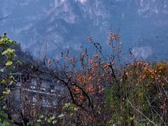 -狼牙山风景区