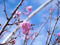 -观澜湖生态运动公社