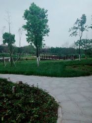 点击看大图 -云湖游乐园