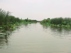 -白洋淀景区