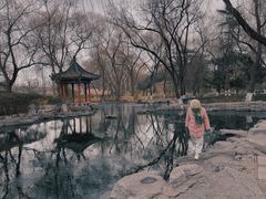 -百脉泉景区