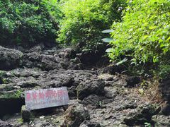 -海口火山口国家地质公园