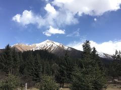 -大冬树山垭口