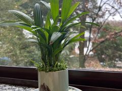 -一江春水·杭帮臻宴(三台山店)