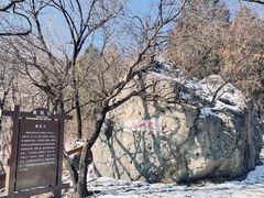 -阳台山自然风景区