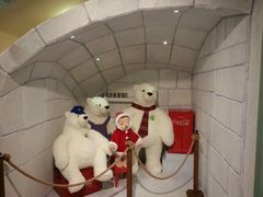 android_upload_pic-济州岛泰迪熊博物馆