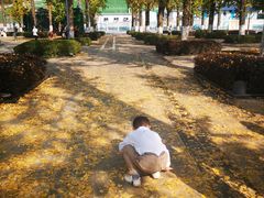 -两江幸福广场