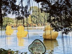 -中山公园