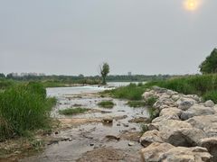 -绿堤公园