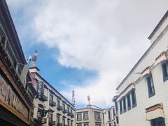 -古树酸奶(八廓南街店)