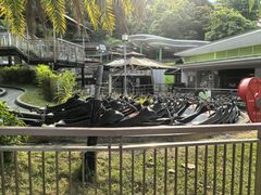 -圣淘沙天际线斜坡滑车