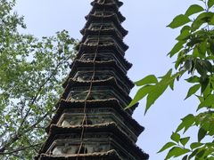 -文瀛公园