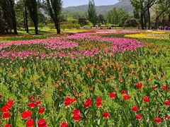 -国家植物园南园