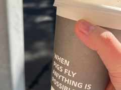 -WHEN PIGS FLY当猪飞