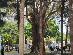 -南宁南湖公园
