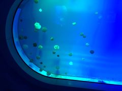 -福州罗源湾海洋世界旅游区