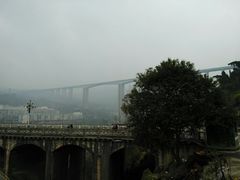 新桥-江龙饭店·乌江豆腐鱼(乌江站分店)