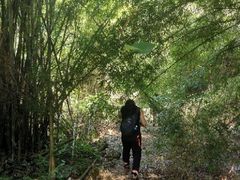 -羚羊峡古栈道森林公园