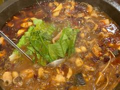 香辣石锅鱼-九寨沟石锅鱼(沣峪口二十年店)