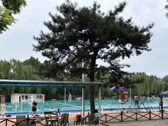 -清华大学-陈明游泳馆