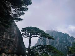 -黄山风景区