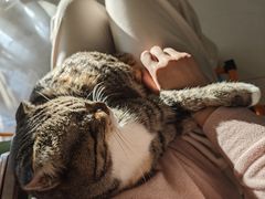 -平行世界·猫咖(首经贸店)