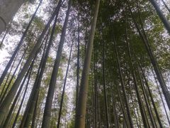 -陶祖圣境风景区