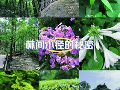 -国家植物园