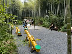 -东明山森林公园