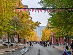 -辽宁大学(崇山校区)