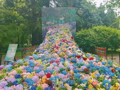 -上海共青森林公园