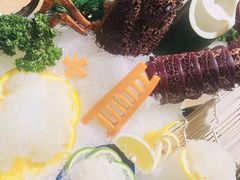 -尚海豆捞(乐虹坊店)