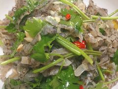 -全乐鱼馆·淳牌有机鱼直营店