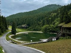 -武陵山森林公园