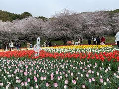 -苏州上方山国家森林公园