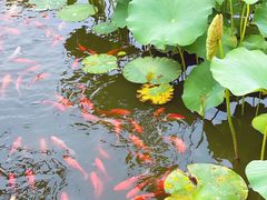-西海子公园