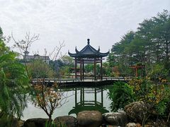 -广州神农草堂中医药博物馆