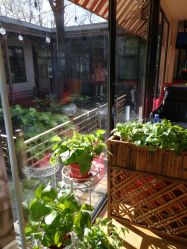 -爱儿美儿童摄影(朝阳公园店)