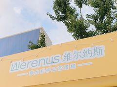 -维尔纳斯·生日蛋糕动物奶油冰淇淋蛋糕(人大店)