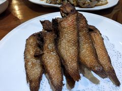 -金穗园·砂锅粥.醉鸡煲火锅(长寿路店)
