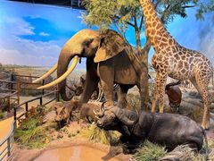 -陕西自然博物馆