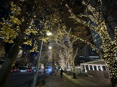 -东京希尔顿酒店
