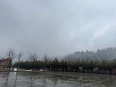 -黄龙山原始森林景区