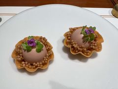 -觀芷隐轩
