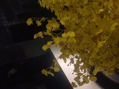 -泰之源足浴会所(玉环店)