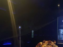 -黑桃K生日订制KTV