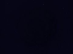-武陵山森林公园