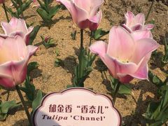 -江南大学(蠡湖校区)